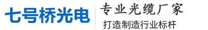 七號橋廣電科技